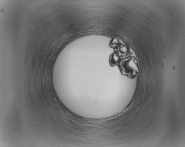 X0000064760037200603131420