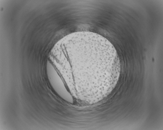X0000064760038200603131420