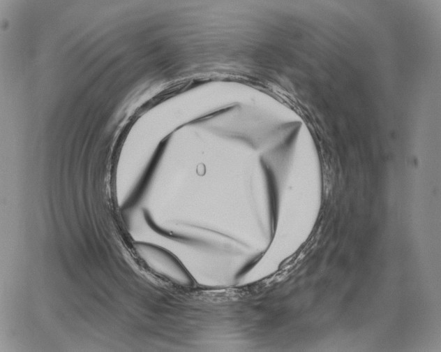 X0000064760050200603131419