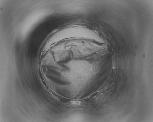 X0000064760052200603131419