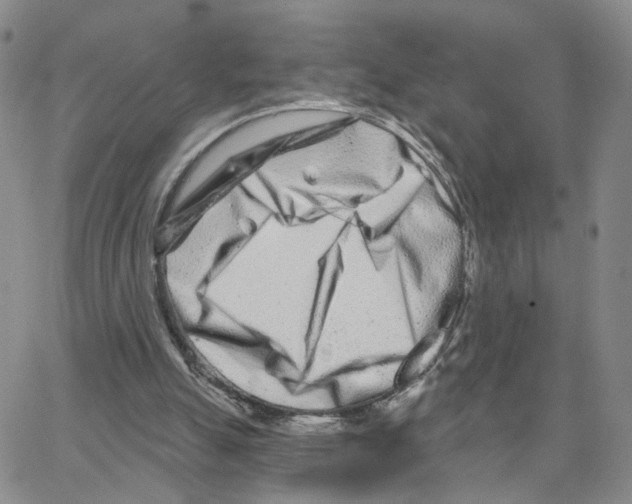 X0000064760055200603131419