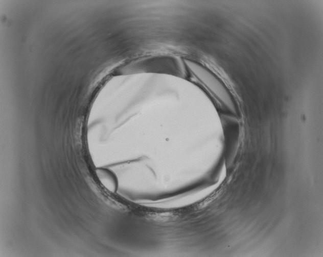 X0000064760058200603131419