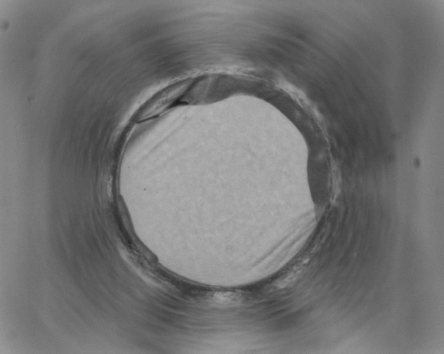 X0000064760060200603131419