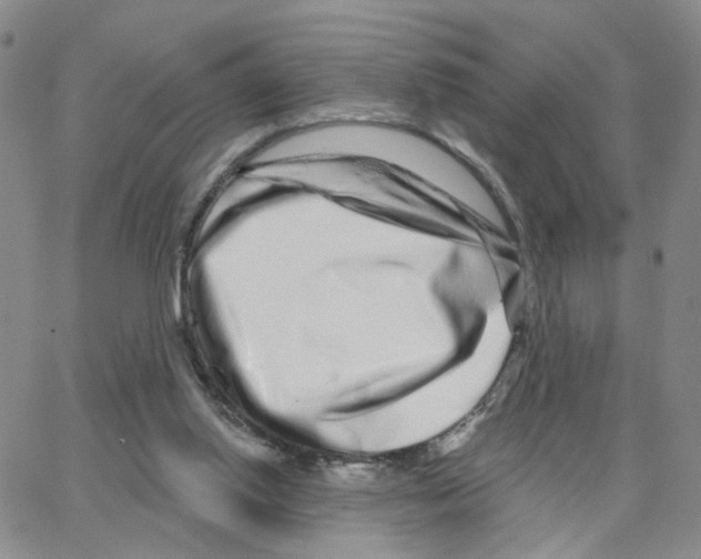 X0000064760062200603131419