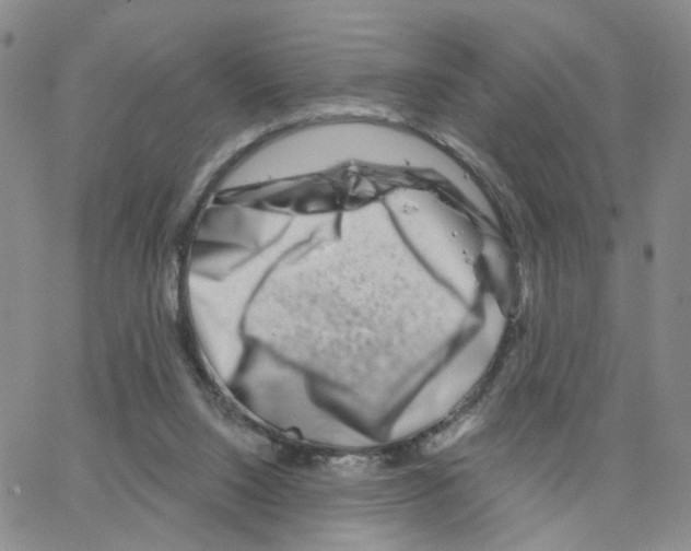 X0000064760064200603131419