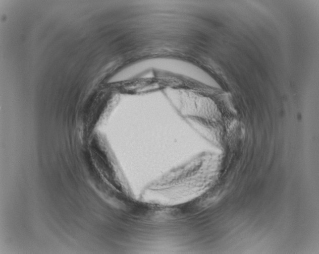 X0000064760072200603131419