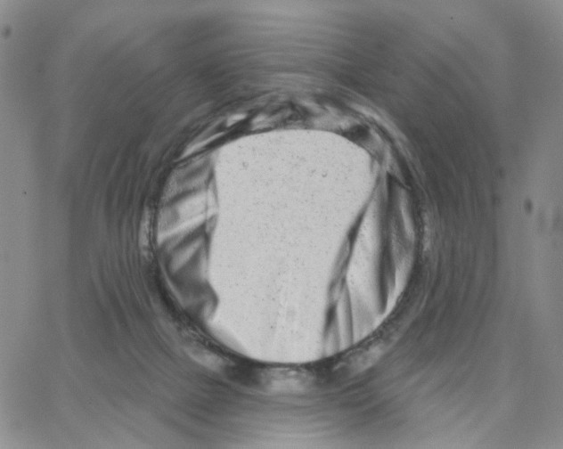 X0000064760073200603131419