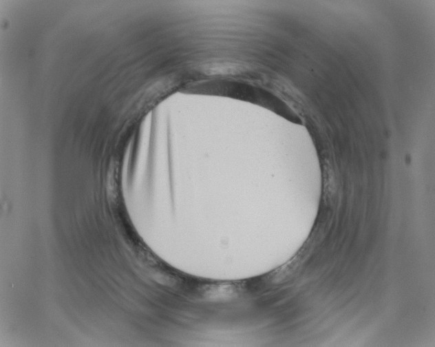 X0000064760074200603131419