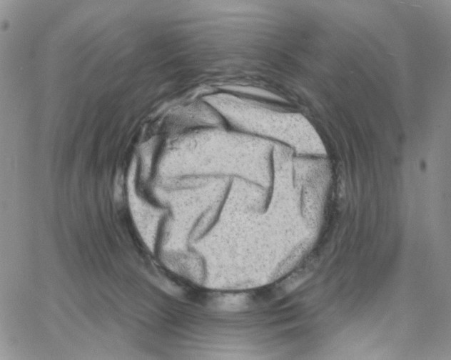 X0000064760081200603131419