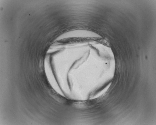 X0000064760082200603131419