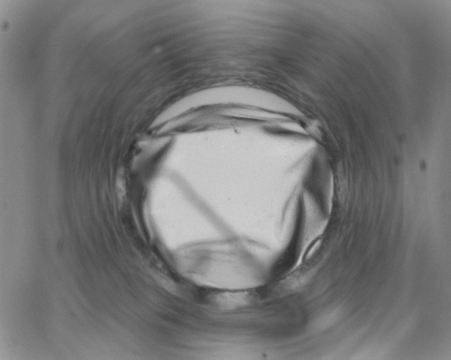 X0000064760085200603131419