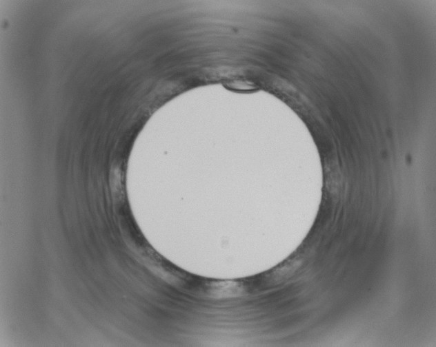 X0000064760087200603131419