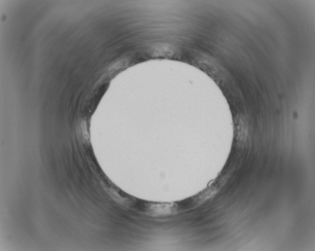 X0000064760089200603131419