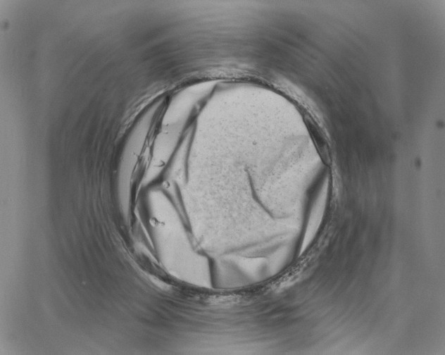 X0000064760105200603131419