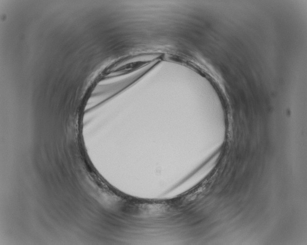 X0000064760107200603131418