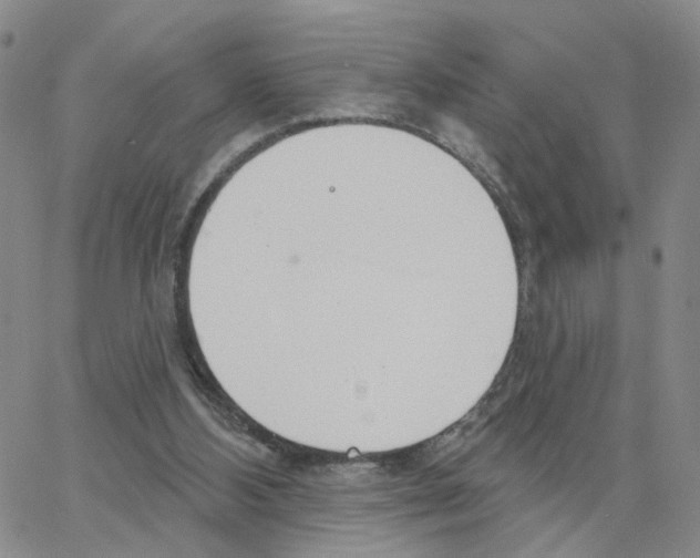 X0000064760108200603131418