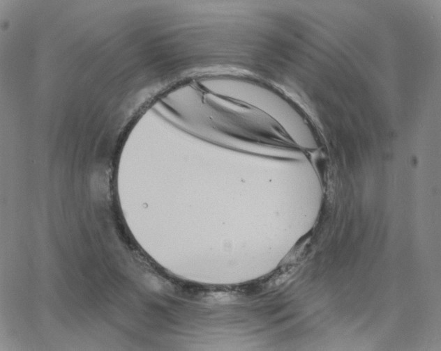 X0000064760111200603131418