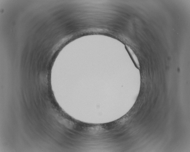 X0000064760112200603131418