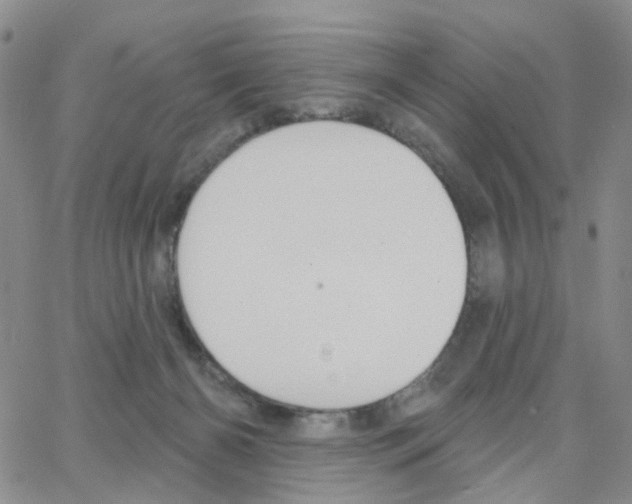 X0000064760126200603131418