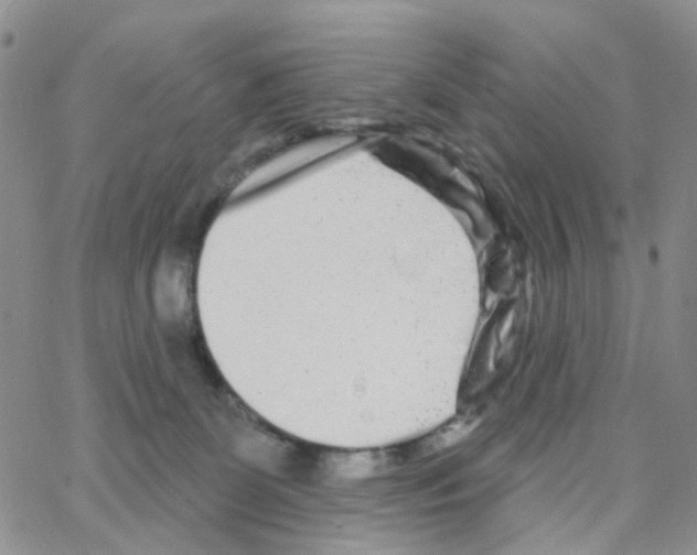 X0000064760131200603131418