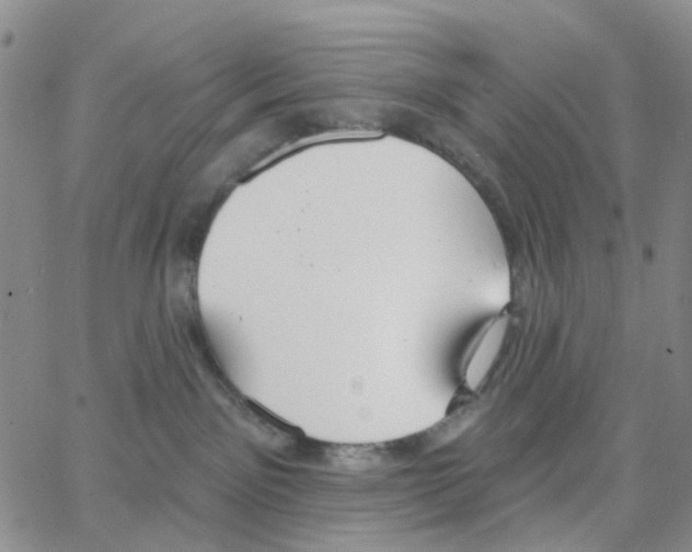 X0000064760141200603131418