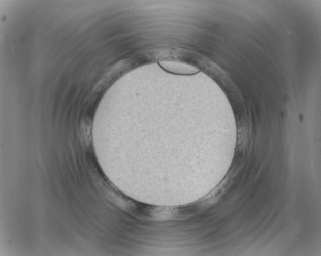 X0000064760142200603131418