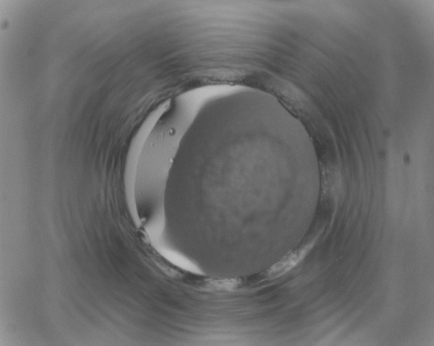 X0000064760143200603131418