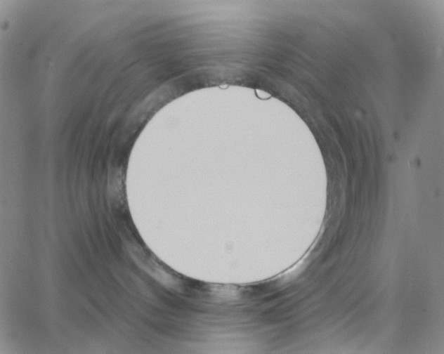 X0000064760144200603131418