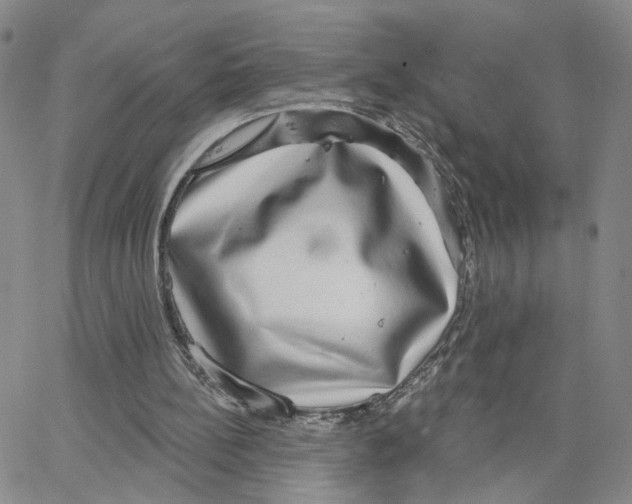 X0000064760148200603131417