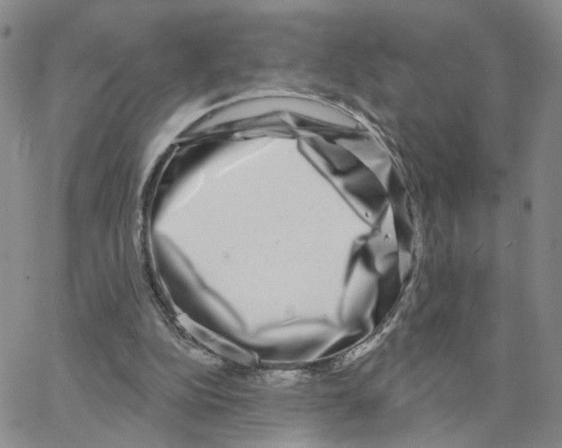X0000064760152200603131417
