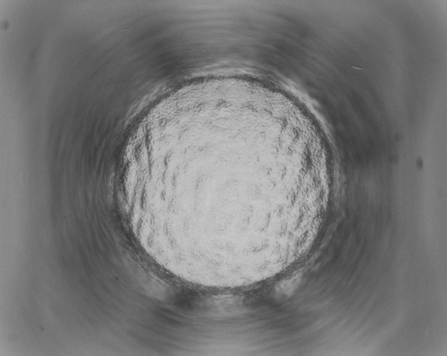 X0000064760153200603131417