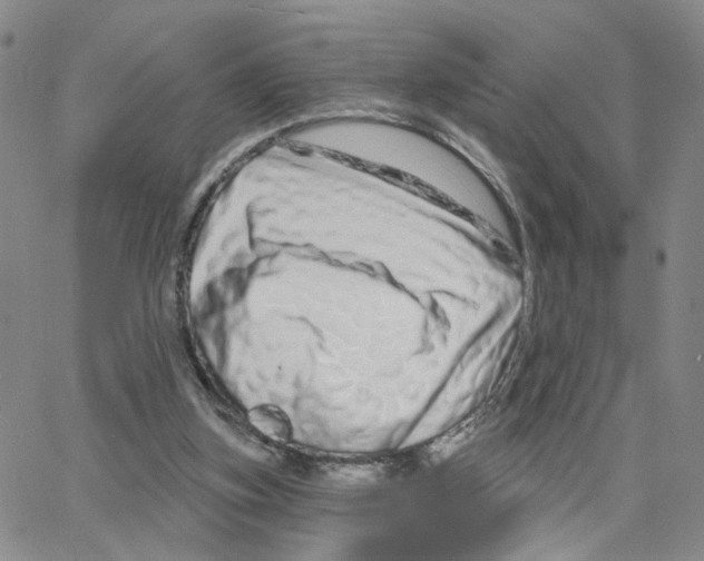 X0000064760155200603131417