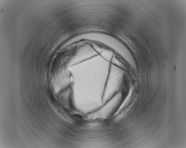 X0000064760158200603131417