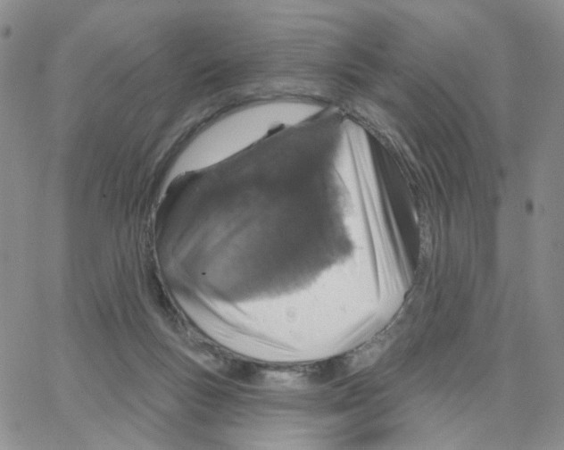 X0000064760167200603131417