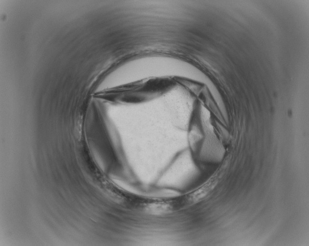 X0000064760168200603131417