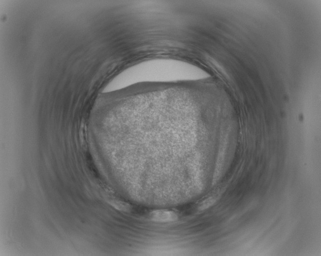X0000064760169200603131418