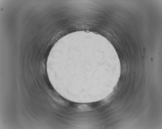 X0000064760183200603131418