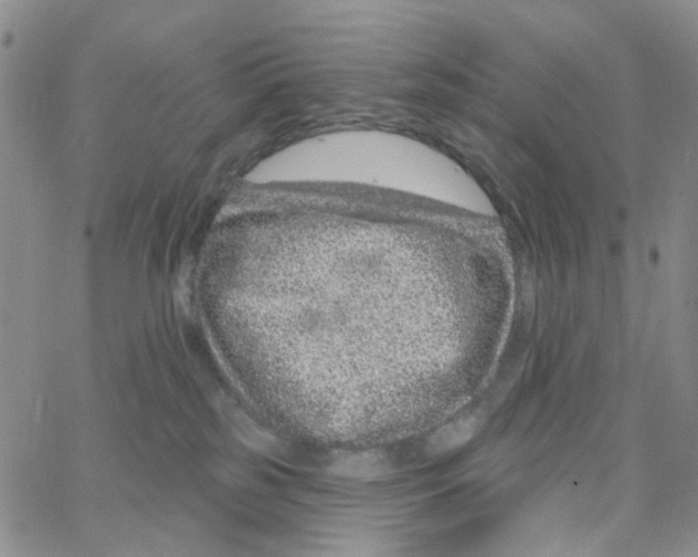 X0000064760185200603131418