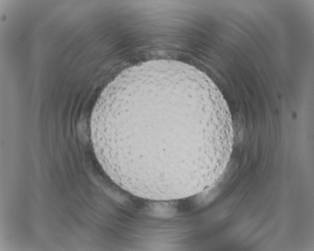 X0000064760187200603131418