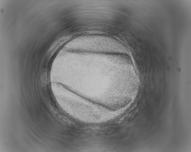 X0000064760194200603131417