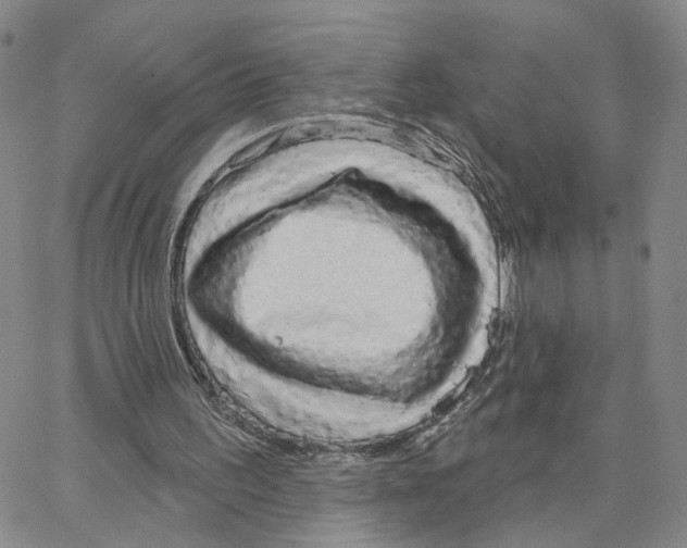 X0000064760195200603131417