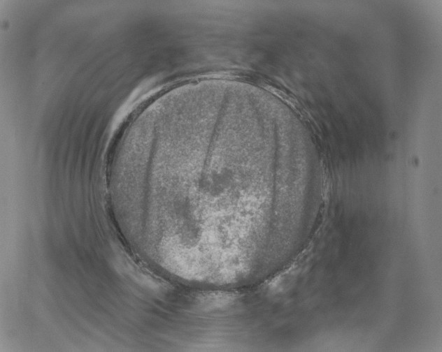X0000064760198200603131417