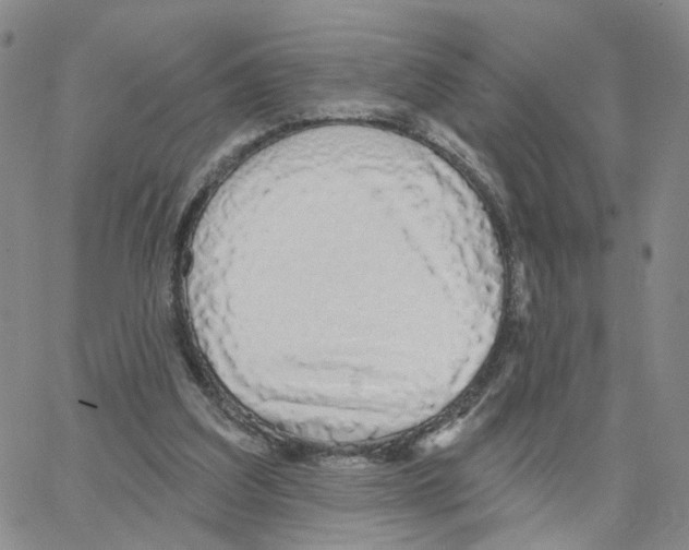 X0000064760203200603131417