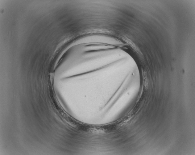 X0000064760207200603131417