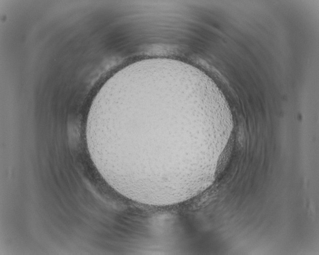 X0000064760208200603131417