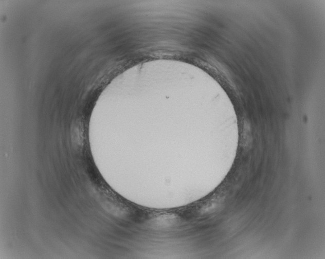 X0000064760210200603131417