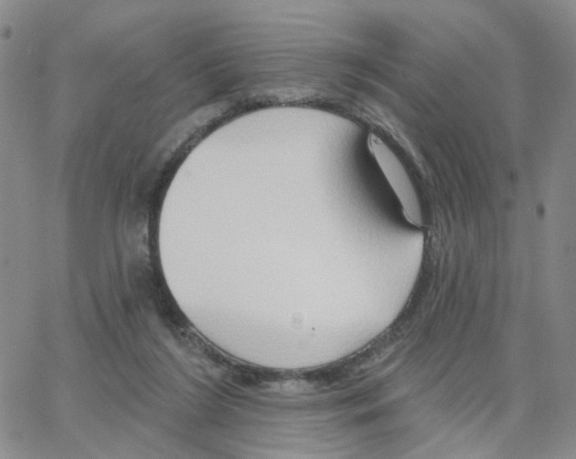 X0000064760212200603131417