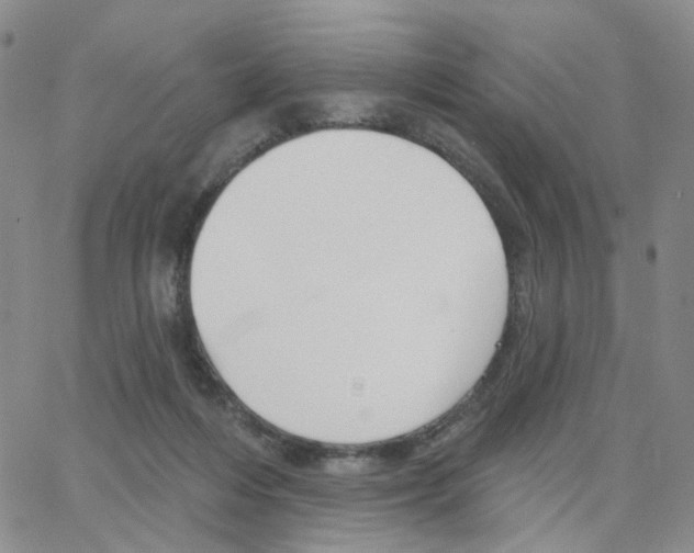 X0000064760216200603131417