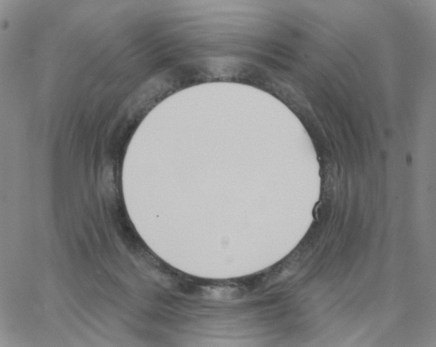 X0000064760220200603131417