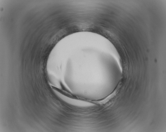 X0000064760221200603131417
